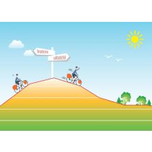 5 Unieke Fietsvakantie Ansichtkaarten : Inzicht en Uitzicht