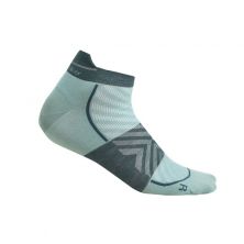 A - Icebreaker Men Run+ Ultralight Micro Sokken