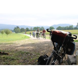 Ergon GP5 Handvatten