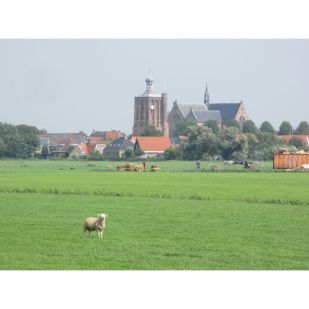 Thematour Zuiderzee - 600 km