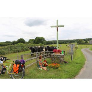 Le Morbihan à vélo (VEL05)